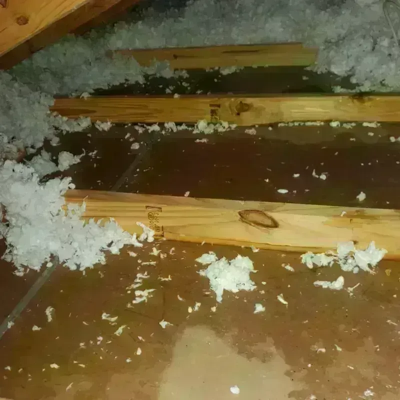 Attic Water Damage in De Baca County, NM