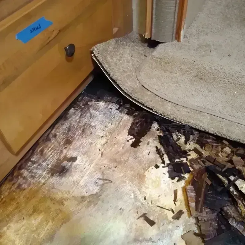 Best Wood Floor Water Damage Service in De Baca County, NM